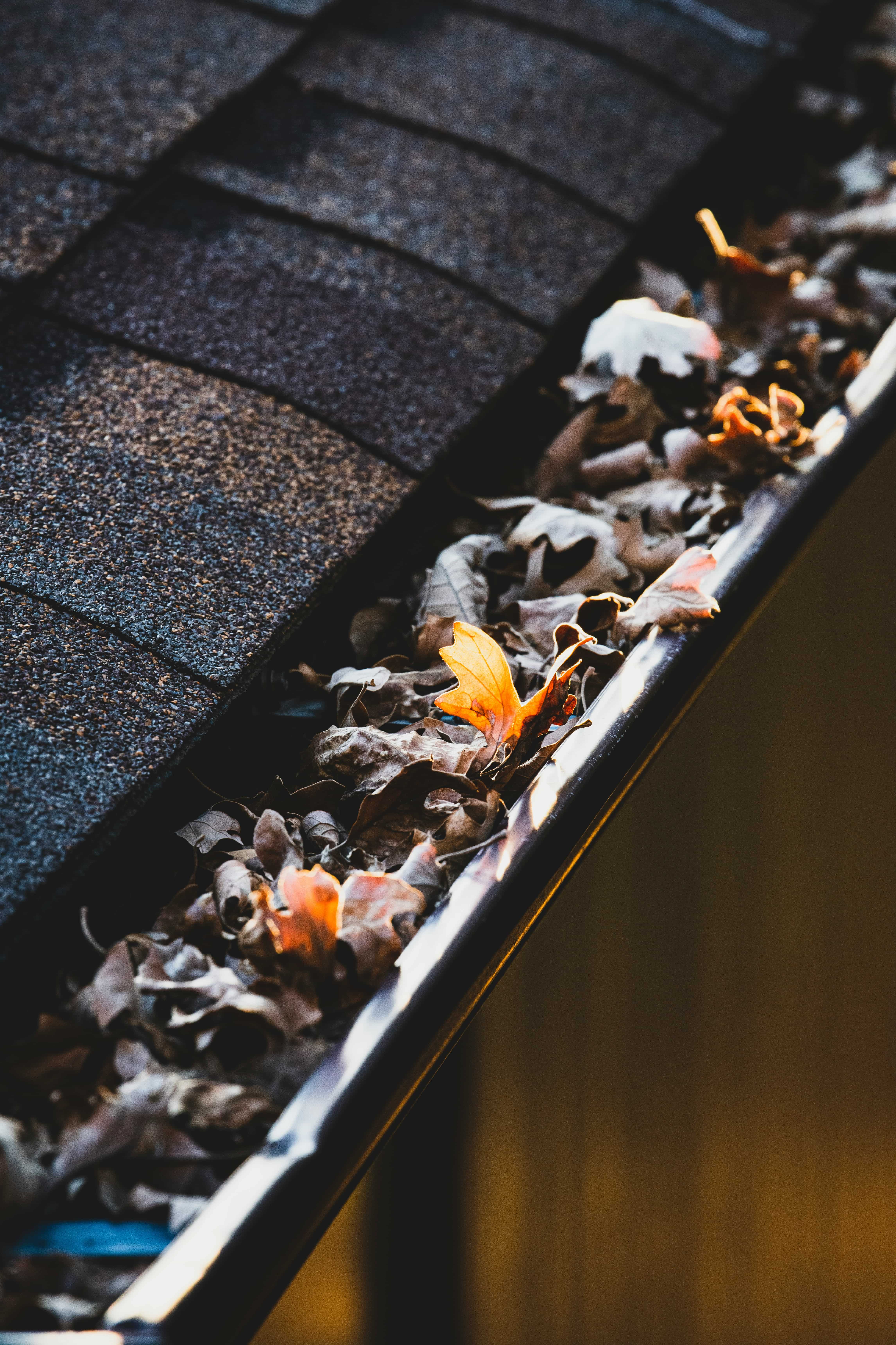 "Discover essential tips for maintaining your gutters, from regular cleaning to professional inspections, with our ultimate guide."