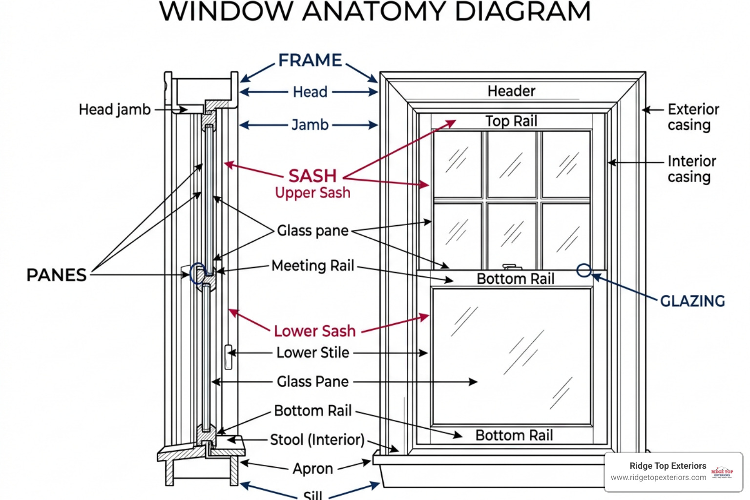 diagram of window anatomy showing sash frame and panes - Compare window types